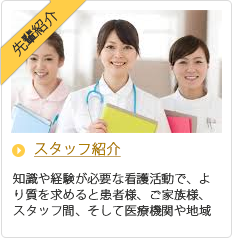 スタッフ紹介