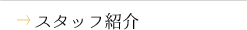 スタッフ紹介